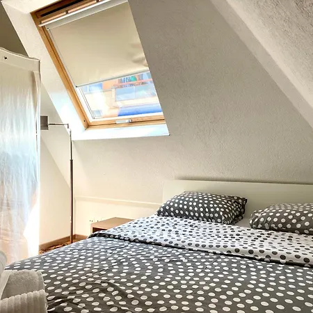 Apartment Beautiful Floor With View